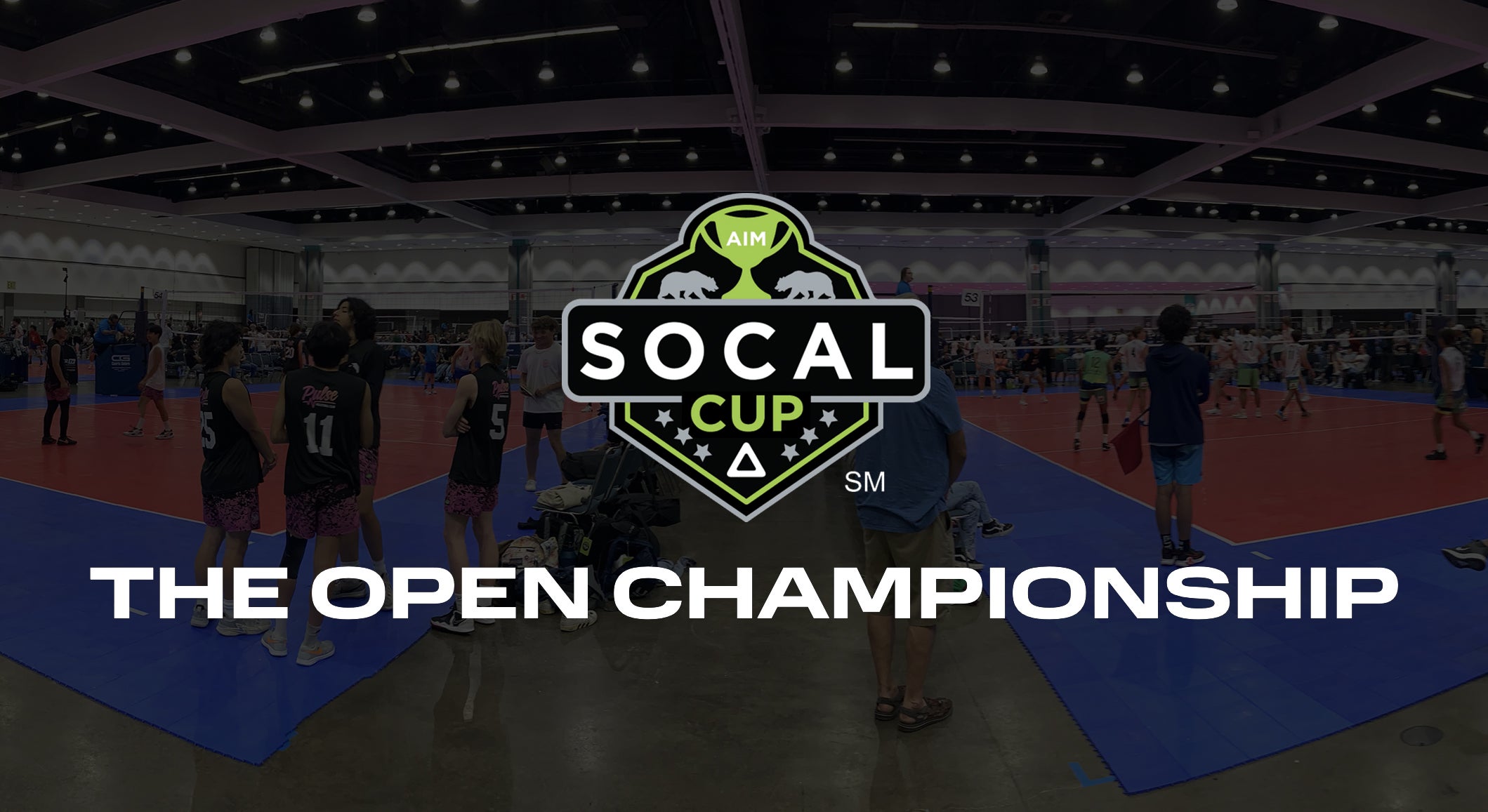 More Info for The SoCal Cup: The Open Championship